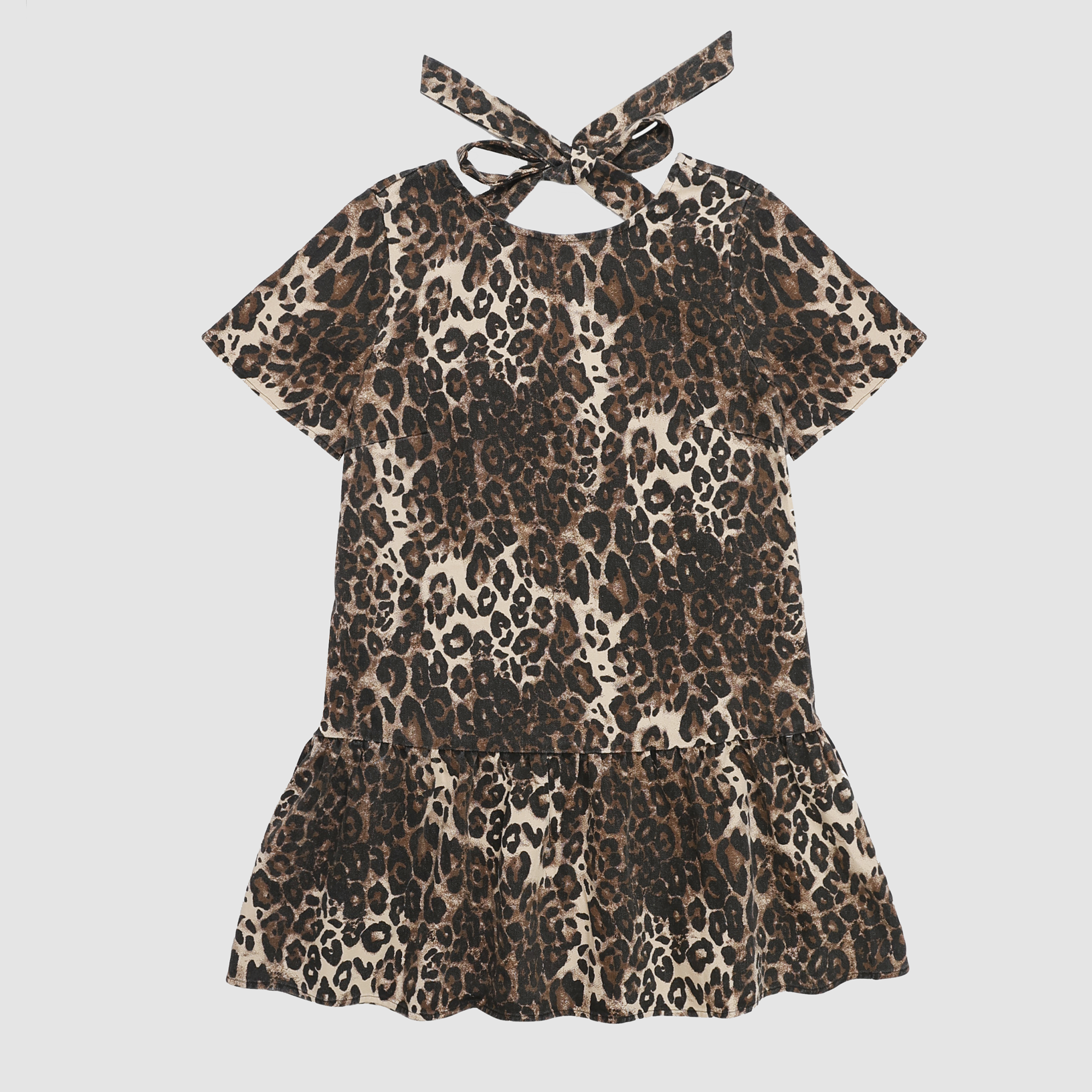 Breanna Leopard Drop Waist Mini Dress