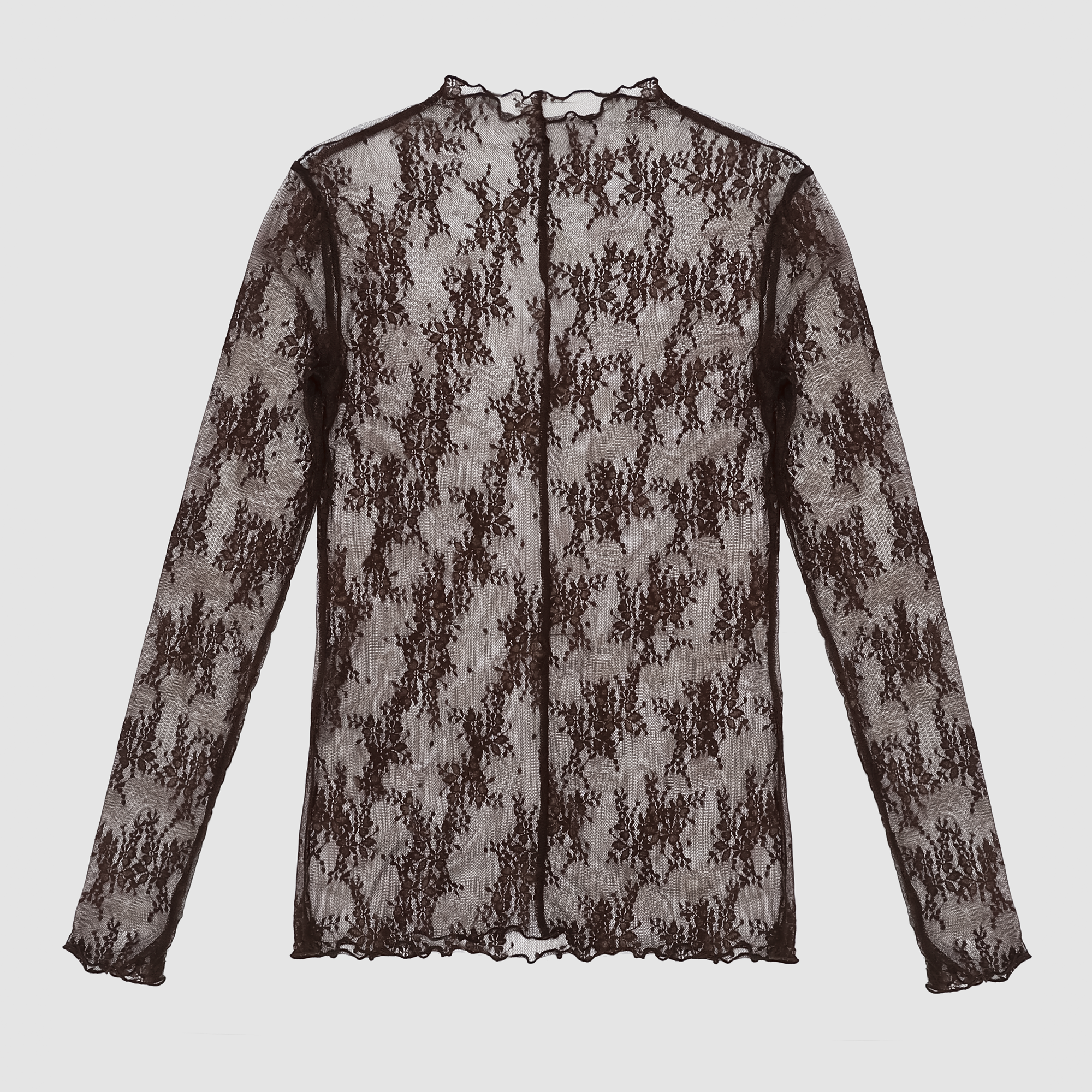 Anastasia Mesh Lace Long Sleeve Top in Brown