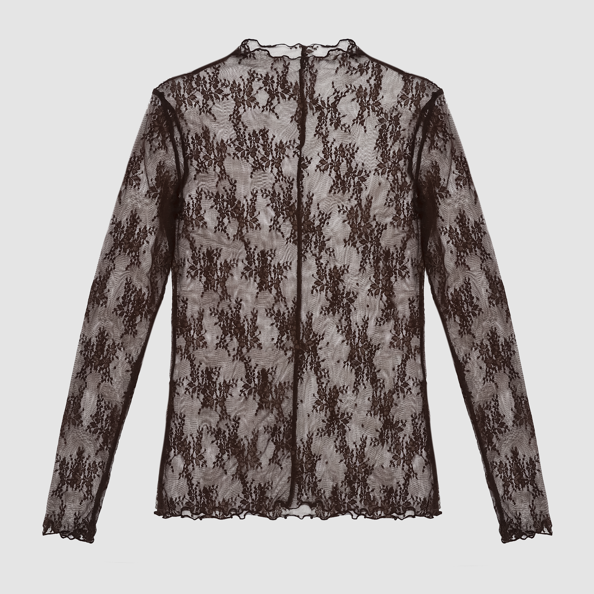 Odette Mesh Lace Long Sleeve Top