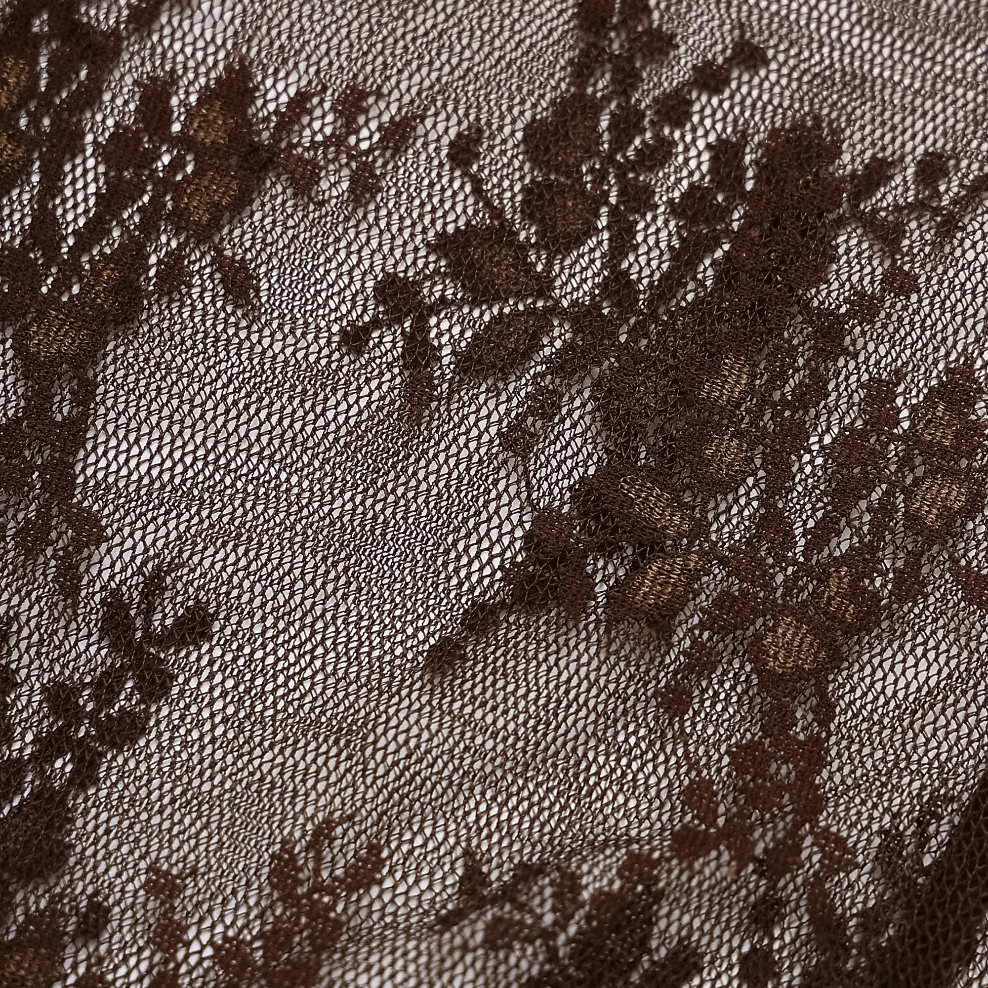 Anastasia Mesh Lace Long Sleeve Top in Brown