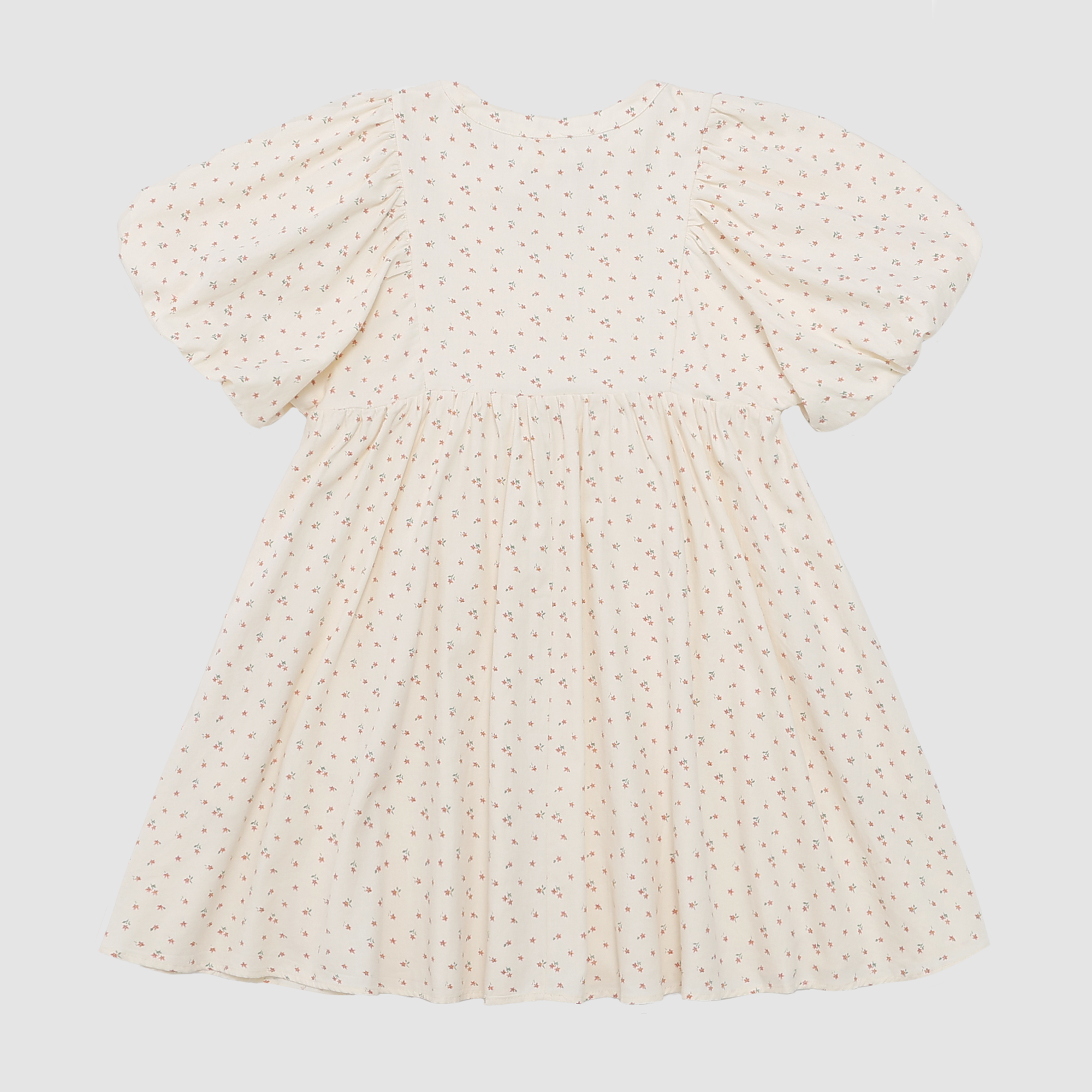 Reign Floral Puff Sleeve Dress