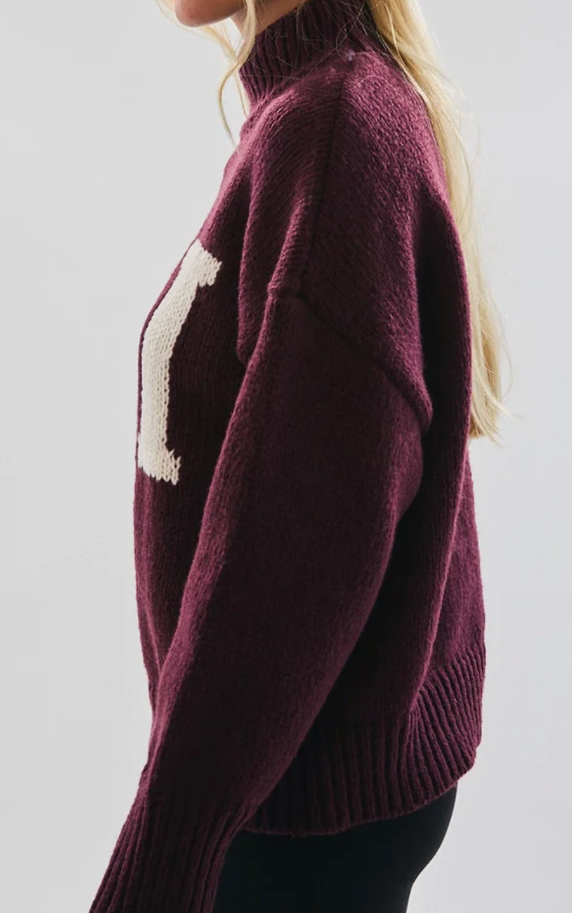 Ski Mockneck Knit Sweater